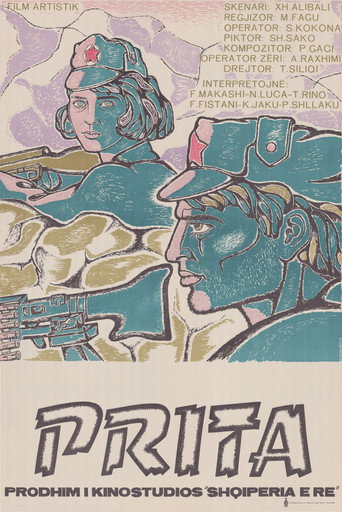 The Ambush movie poster