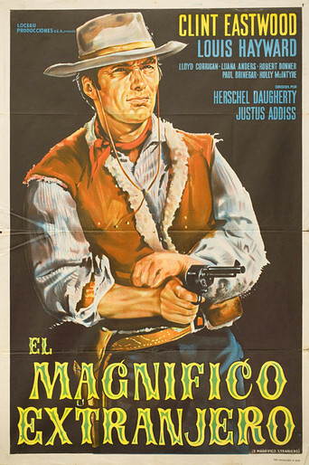The Magnificent Stranger movie poster