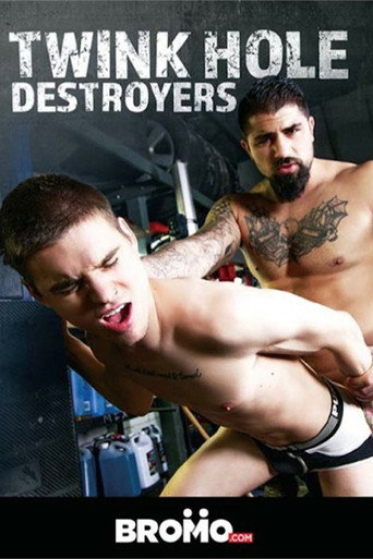 Twink Hole Destroyers movie poster