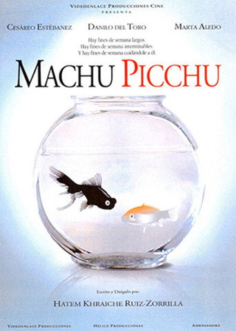 Machu Picchu movie poster