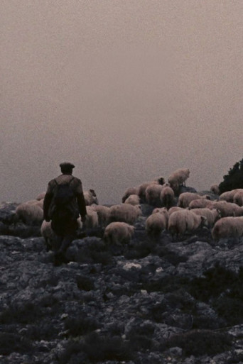 Orgosolo’s Shepherds movie poster