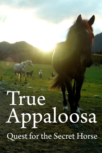 True Appaloosa movie poster