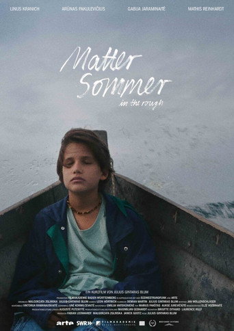 In the Rough movie poster