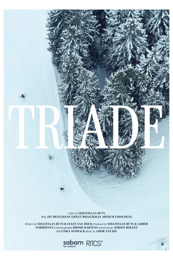 Triade movie poster