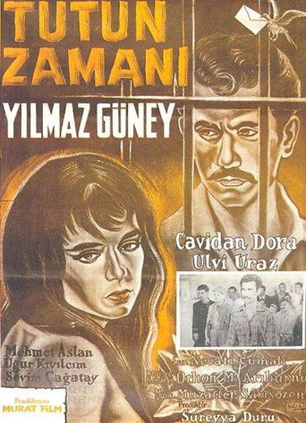 Tütün Zamanı movie poster