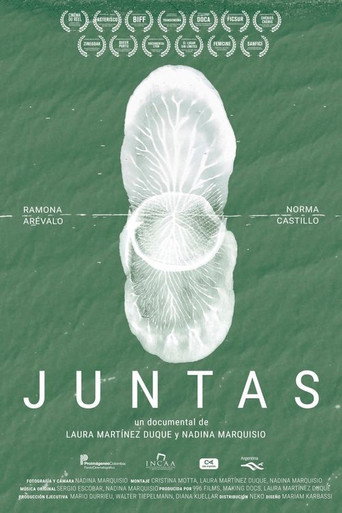 Juntas movie poster