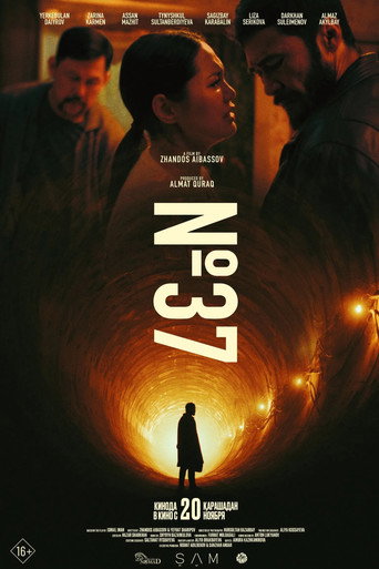 №37 movie poster