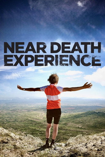 Near Death Experience movie poster