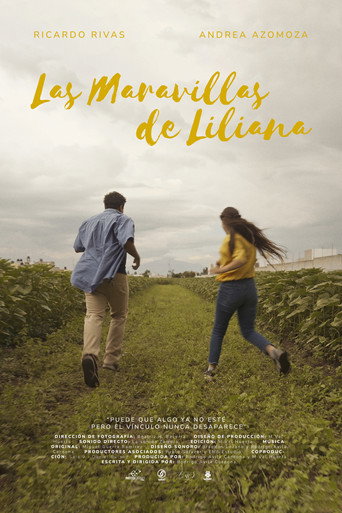 Las Maravillas de Liliana movie poster