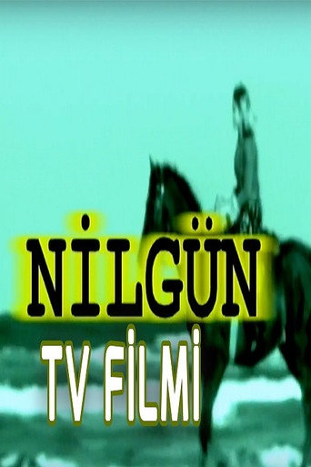 Nilgün movie poster