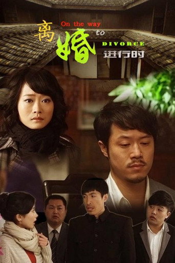 On the Way to Divorce movie poster