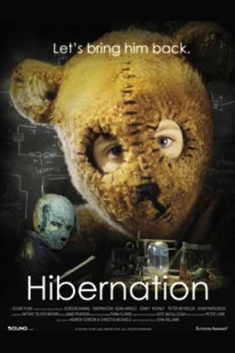 Hibernation movie poster