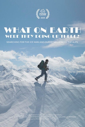 What On Earth Were They Doing Up There? movie poster