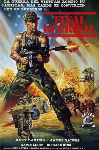 Final Reprisal movie poster