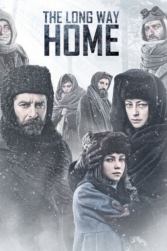 The Long Way Home movie poster