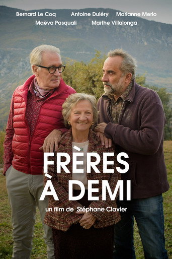Frères à demi movie poster