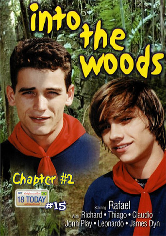 18 Today International 15: Into the Woods 2 movie poster