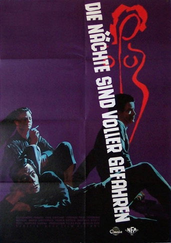 Nights of the Teddy Boys movie poster