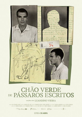 Chão Verde de Pássaros Escritos movie poster