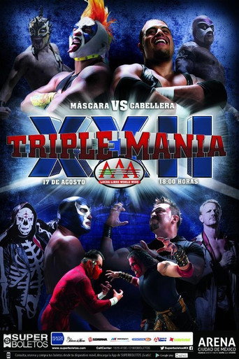 AAA Triplemania XXII movie poster