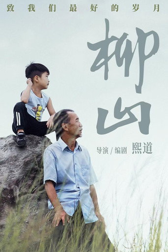 柳山 movie poster