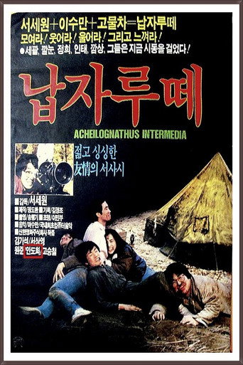 Napjarute movie poster