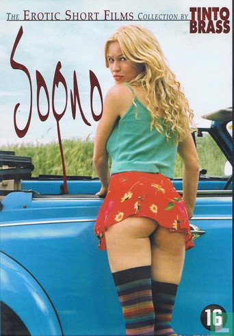 Dream movie poster