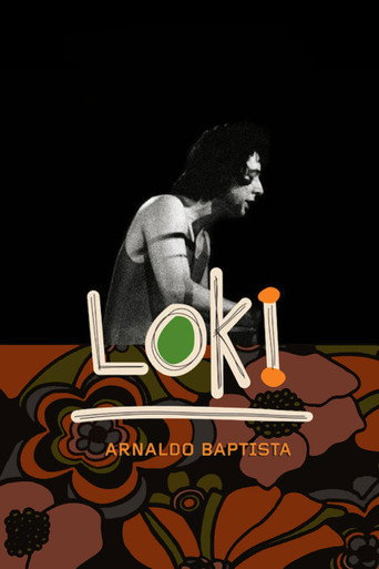 Loki: Arnaldo Baptista movie poster