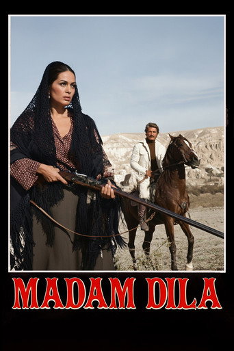 Madam Dilâ movie poster