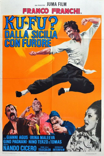 Ku Fu? Dalla Sicilia con furore movie poster