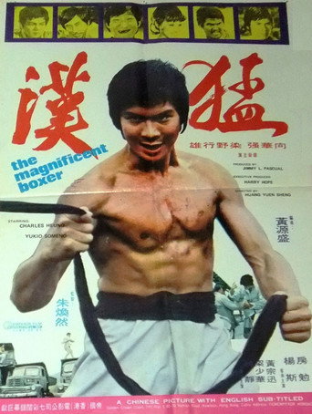The Magnificent Boxer movie poster