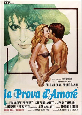 The Proof of love movie poster