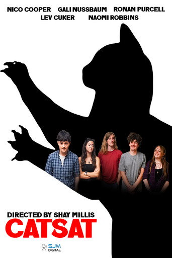 Catsat movie poster