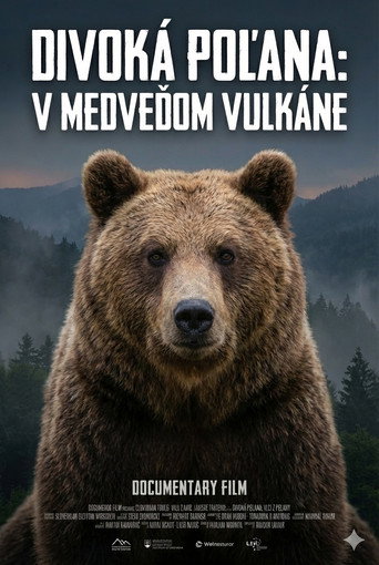 Divoká Poľana: V medveďom vulkáne movie poster