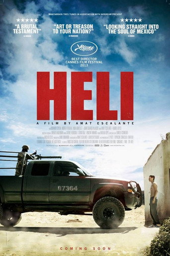 Heli movie poster