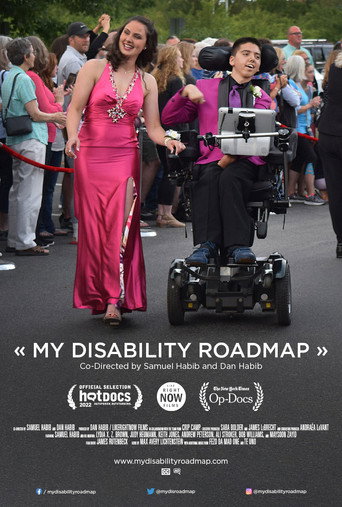 My Disability Roadmap movie poster