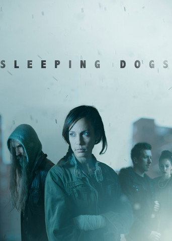 Sleeping Dogs movie poster