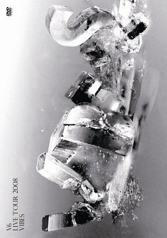 V6 LIVE TOUR 2008 VIBES movie poster