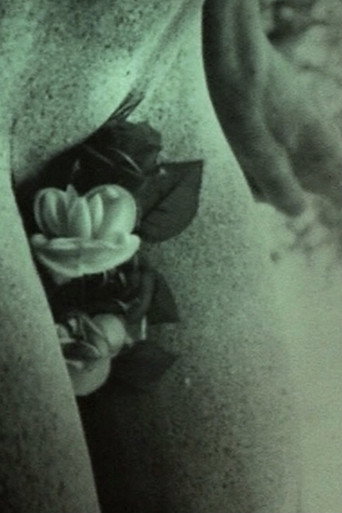 Bouche D'Oeil movie poster