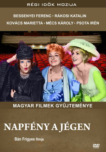 Sunshine on the Ice movie poster