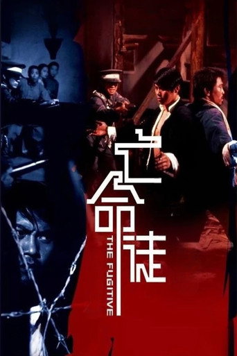 The Fugitive movie poster