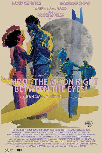 Shoot the Moon Right Between the Eyes movie poster