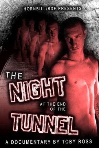The Night at the End of the Tunnel movie poster