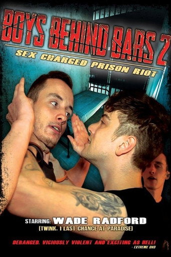 Boys Behind Bars 2 movie poster