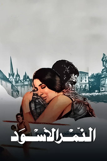 Black Tiger movie poster