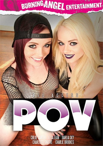 All Access P.O.V. movie poster