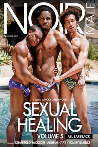 Sexual Healing 5 movie poster