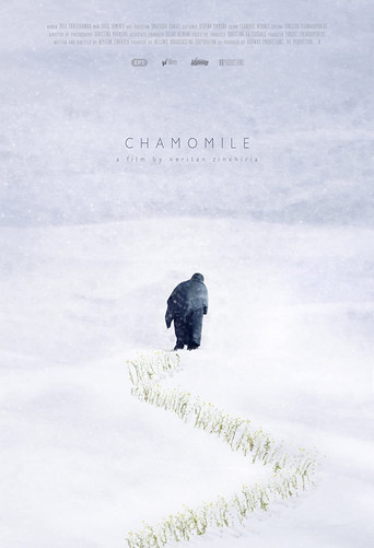 Chamomile movie poster