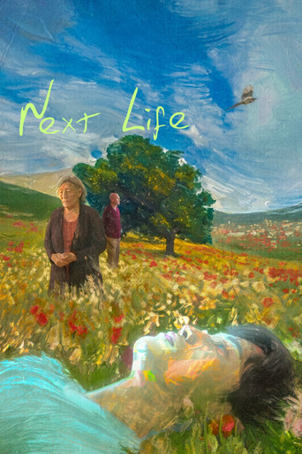 Next Life movie poster