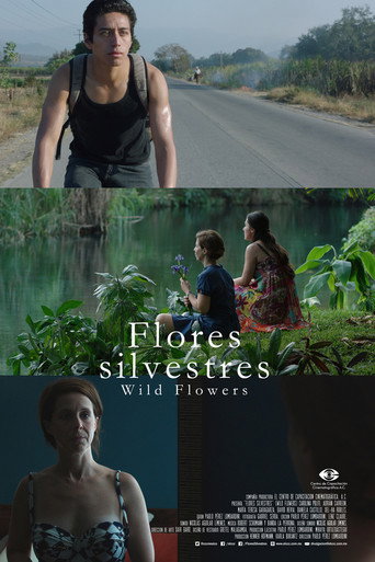 Wild Flowers movie poster